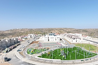 התמר