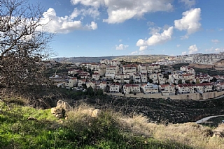 הזית