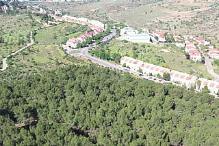 הדקל