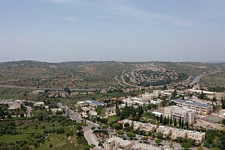 התאנה