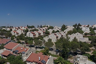 הרימון