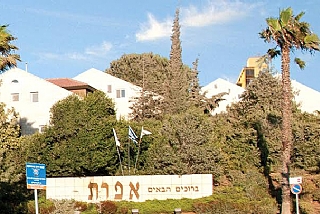 פרופיל היישוב