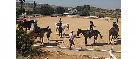 חוג סוסים