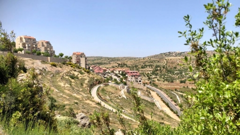 בשביל הצעירים.jpg