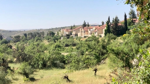 WhatsApp Image 2021-05-11 at 10.34.33.jpeg