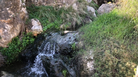 דגן תחתון 2.jpg