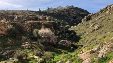 דגן תחתון.jpg