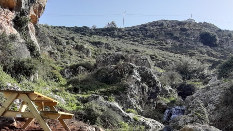 דגן תחתון 5.jpg