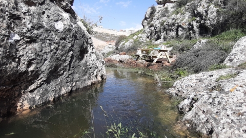 דגן תחתון 6.jpg