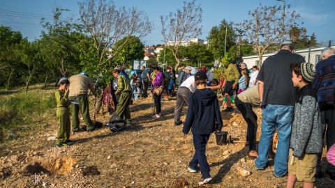 WhatsApp Image 2023-05-11 at 11.25.17 (1).jpeg